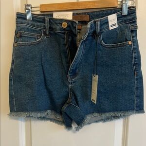 Judy Blue Blue High-Waisted Jean Shorts